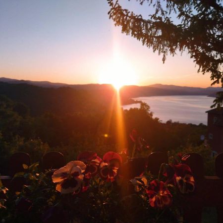 Apartmani Kuljanin Donji Milanovac Esterno foto