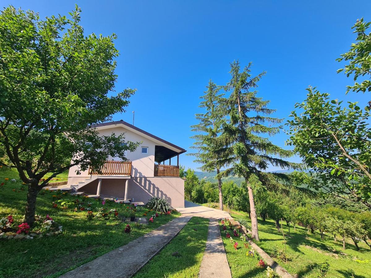 Apartmani Kuljanin Donji Milanovac Esterno foto