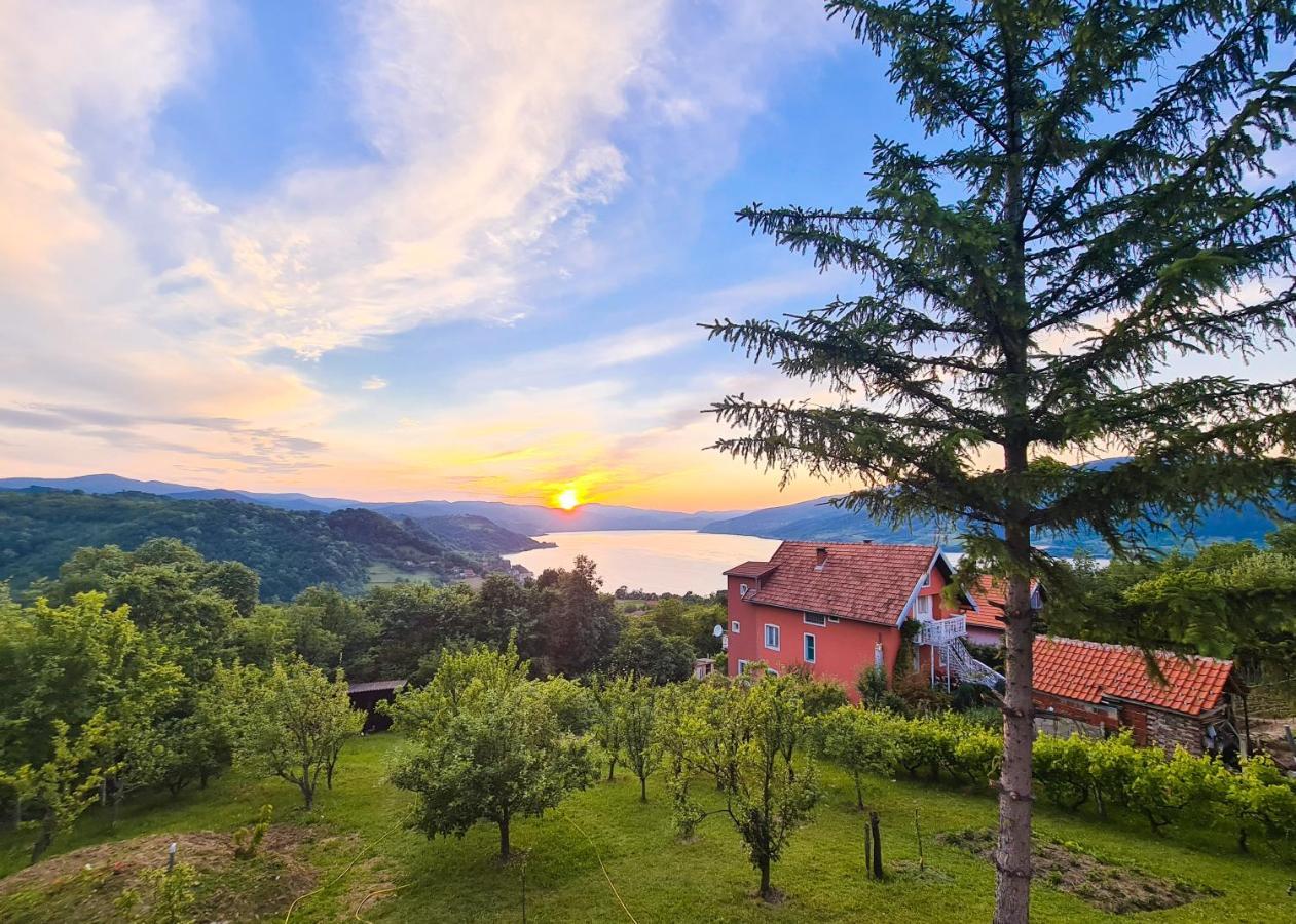 Apartmani Kuljanin Donji Milanovac Esterno foto