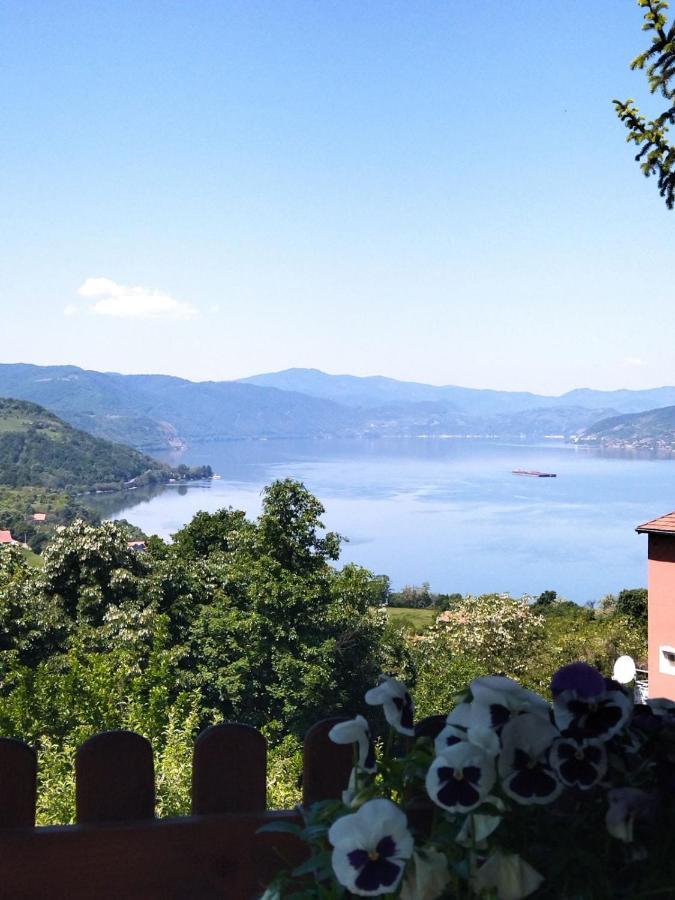 Apartmani Kuljanin Donji Milanovac Esterno foto