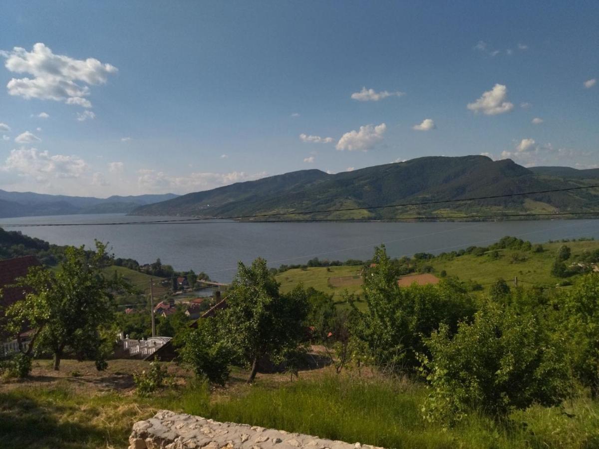 Apartmani Kuljanin Donji Milanovac Esterno foto