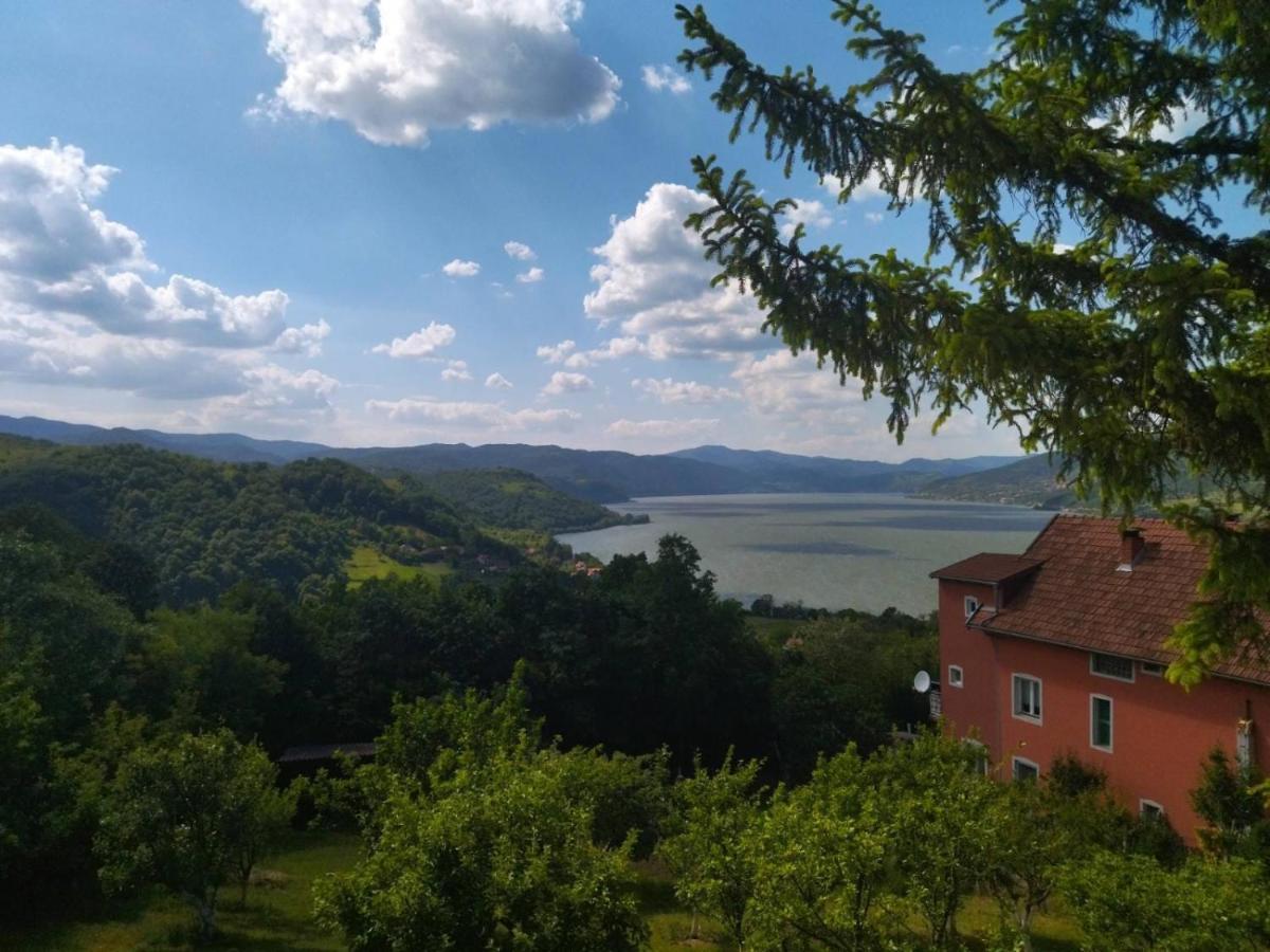 Apartmani Kuljanin Donji Milanovac Esterno foto